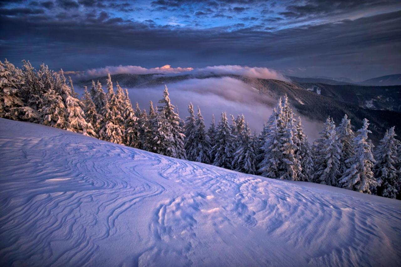 Pohorje Village Wellbeing Resort - Forest Apartments Videc Hočko Pohorje Εξωτερικό φωτογραφία
