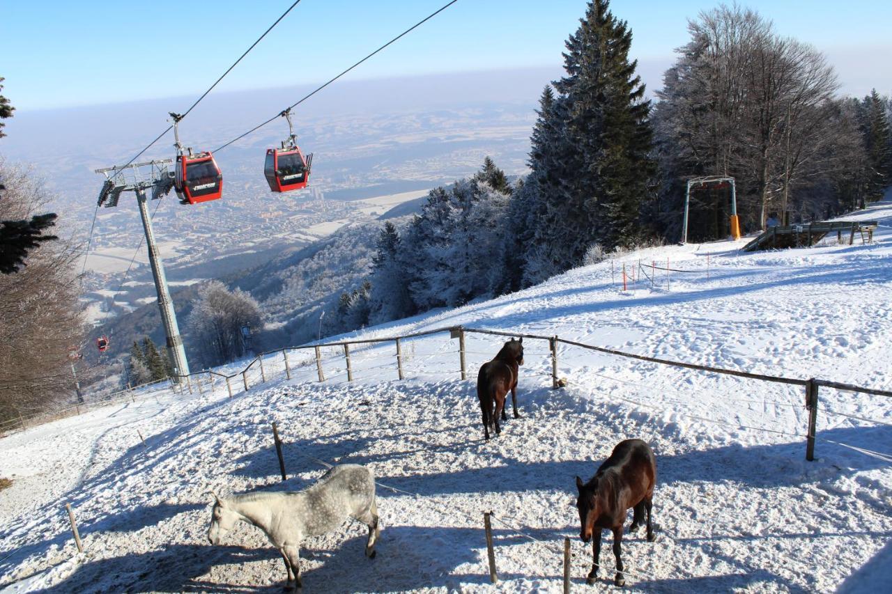 Pohorje Village Wellbeing Resort - Forest Apartments Videc Hočko Pohorje Εξωτερικό φωτογραφία