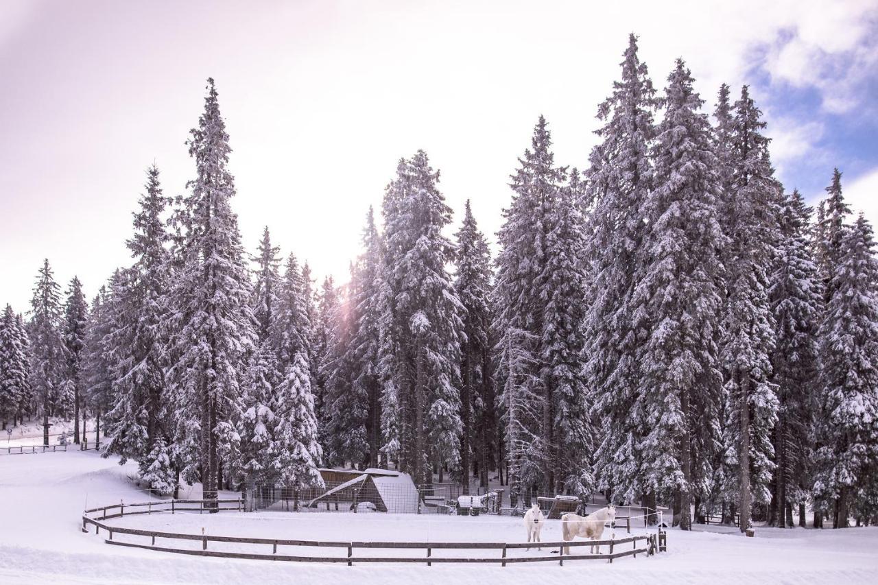 Pohorje Village Wellbeing Resort - Forest Apartments Videc Hočko Pohorje Εξωτερικό φωτογραφία