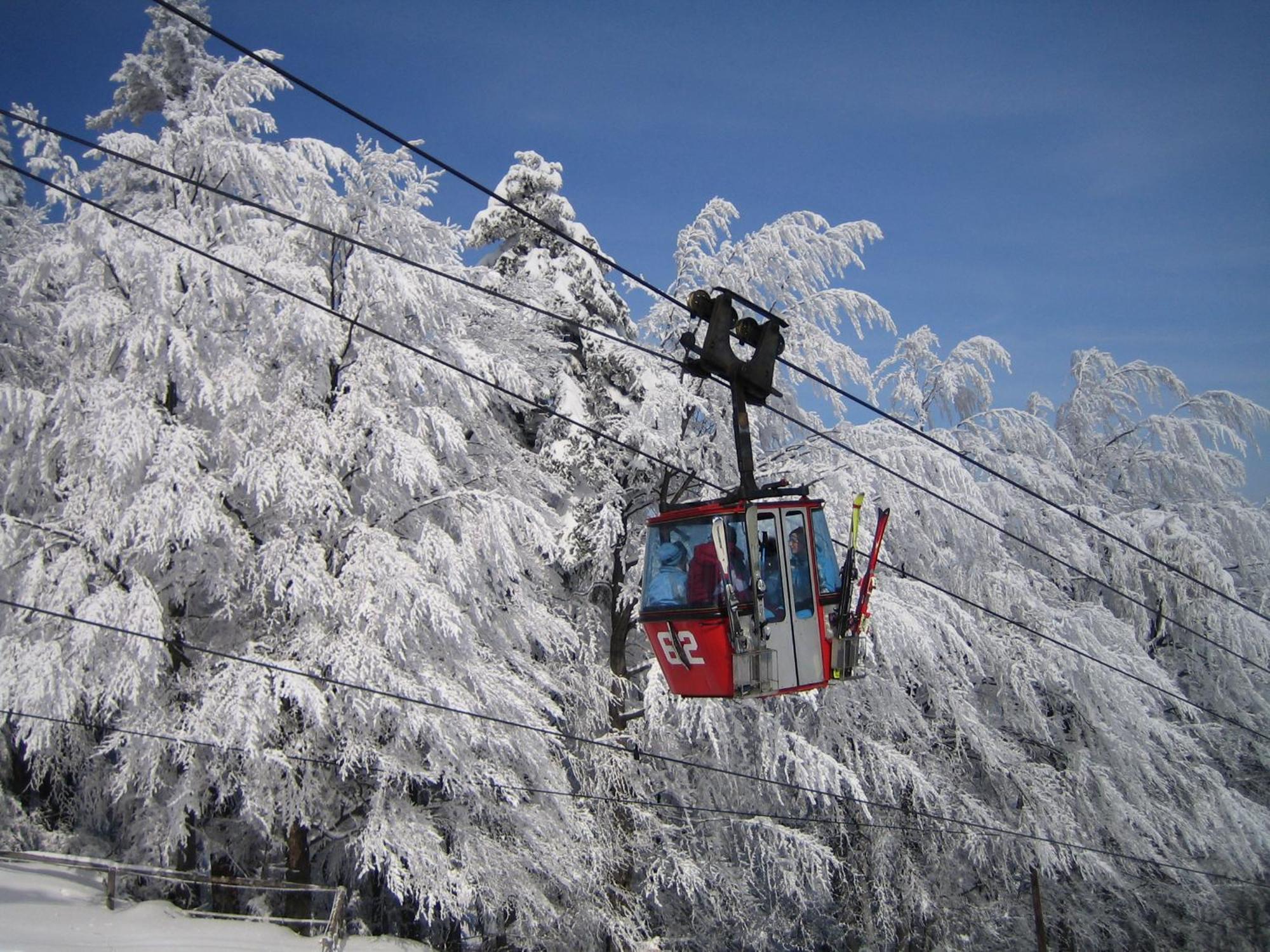 Pohorje Village Wellbeing Resort - Forest Apartments Videc Hočko Pohorje Εξωτερικό φωτογραφία